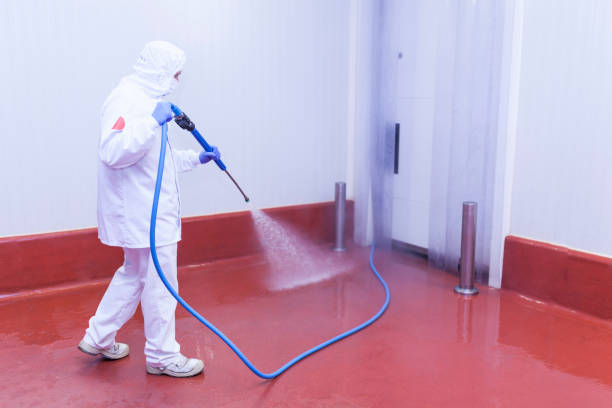 Best Building Exterior Washing  in Eden Prairie, MN