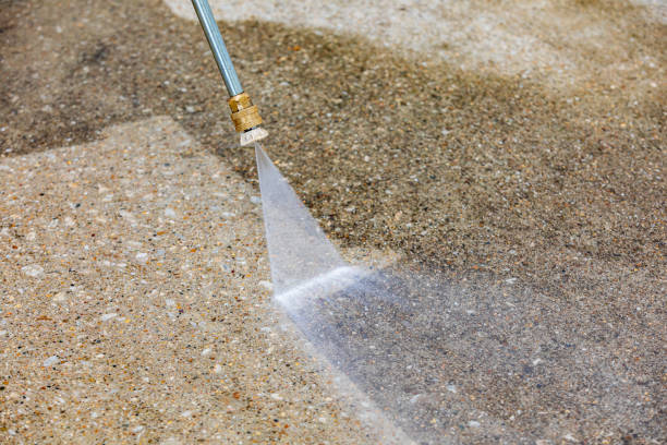 Best Roof Washing  in Eden Prairie, MN